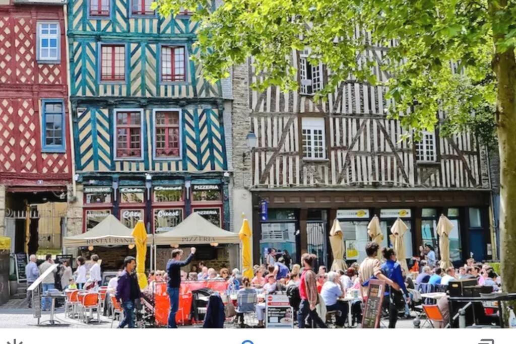 Cosy Proche De Rennes Appartement